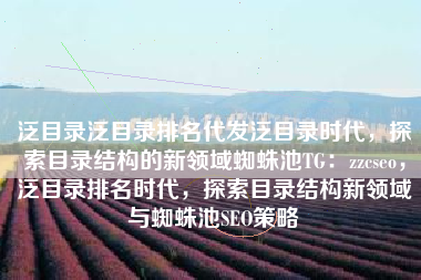 泛目录泛目录排名代发泛目录时代，探索目录结构的新领域蜘蛛池TG：zzcseo，泛目录排名时代，探索目录结构新领域与蜘蛛池SEO策略