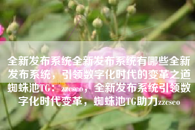 全新发布系统全新发布系统有哪些全新发布系统，引领数字化时代的变革之道蜘蛛池TG：zzcseo，全新发布系统引领数字化时代变革，蜘蛛池TG助力zzcseo