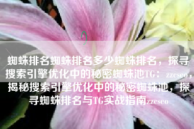 蜘蛛排名蜘蛛排名多少蜘蛛排名，探寻搜索引擎优化中的秘密蜘蛛池TG：zzcseo，揭秘搜索引擎优化中的秘密蜘蛛池，探寻蜘蛛排名与TG实战指南zzcseo