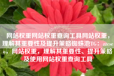 网站权重网站权重查询工具网站权重，理解其重要性及提升策略蜘蛛池TG：zzcseo，网站权重，理解其重要性、提升策略及使用网站权重查询工具