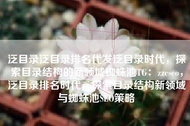 泛目录泛目录排名代发泛目录时代，探索目录结构的新领域蜘蛛池TG：zzcseo，泛目录排名时代，探索目录结构新领域与蜘蛛池SEO策略
