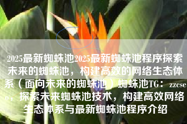 2025最新蜘蛛池2025最新蜘蛛池程序探索未来的蜘蛛池，构建高效的网络生态体系（面向未来的蜘蛛池）蜘蛛池TG：zzcseo，探索未来蜘蛛池技术，构建高效网络生态体系与最新蜘蛛池程序介绍