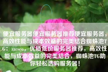 便宜服务器便宜服务器推荐便宜服务器，高效性能与成本效益的完美结合蜘蛛池TG：zzcseo，优质低价服务器推荐，高效性能与成本效益的完美结合，蜘蛛池TG助你轻松选购服务器！