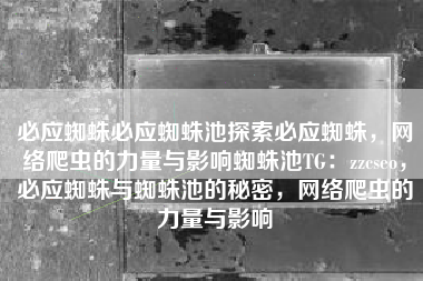 必应蜘蛛必应蜘蛛池探索必应蜘蛛，网络爬虫的力量与影响蜘蛛池TG：zzcseo，必应蜘蛛与蜘蛛池的秘密，网络爬虫的力量与影响