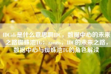 IDCidc是什么意思啊IDC，数据中心的未来之路蜘蛛池TG：zzcseo，IDC的未来之路，数据中心与蜘蛛池TG的角色解读