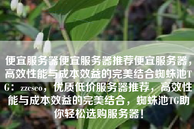 便宜服务器便宜服务器推荐便宜服务器，高效性能与成本效益的完美结合蜘蛛池TG：zzcseo，优质低价服务器推荐，高效性能与成本效益的完美结合，蜘蛛池TG助你轻松选购服务器！