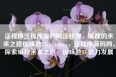 泛程序泛程序源码网泛程序，编程的未来之路蜘蛛池TG：zzcseo，泛程序源码网，探索编程未来之路，蜘蛛池TG助力发展