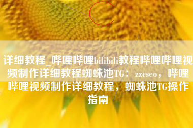 详细教程_哔哩哔哩bilibili教程哔哩哔哩视频制作详细教程蜘蛛池TG：zzcseo，哔哩哔哩视频制作详细教程，蜘蛛池TG操作指南
