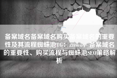 备案域名备案域名购买备案域名的重要性及其流程蜘蛛池TG：zzcseo，备案域名的重要性、购买流程与蜘蛛池SEO策略解析