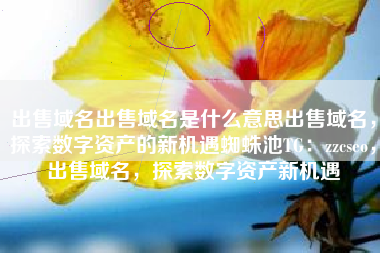 出售域名出售域名是什么意思出售域名，探索数字资产的新机遇蜘蛛池TG：zzcseo，出售域名，探索数字资产新机遇
