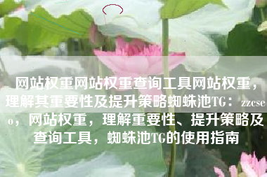 网站权重网站权重查询工具网站权重，理解其重要性及提升策略蜘蛛池TG：zzcseo，网站权重，理解重要性、提升策略及查询工具，蜘蛛池TG的使用指南
