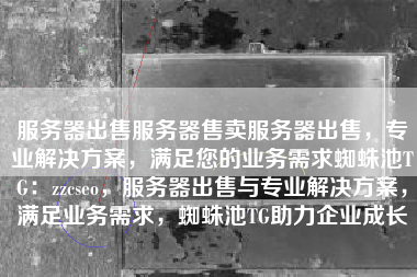 服务器出售服务器售卖服务器出售，专业解决方案，满足您的业务需求蜘蛛池TG：zzcseo，服务器出售与专业解决方案，满足业务需求，蜘蛛池TG助力企业成长
