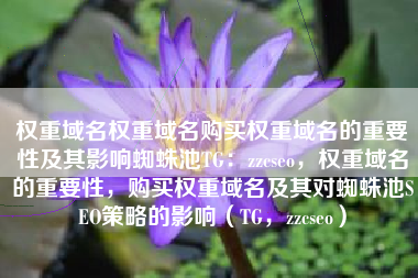 权重域名权重域名购买权重域名的重要性及其影响蜘蛛池TG：zzcseo，权重域名的重要性，购买权重域名及其对蜘蛛池SEO策略的影响（TG，zzcseo）