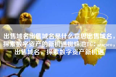 出售域名出售域名是什么意思出售域名，探索数字资产的新机遇蜘蛛池TG：zzcseo，出售域名，探索数字资产新机遇