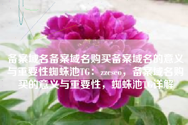 备案域名备案域名购买备案域名的意义与重要性蜘蛛池TG：zzcseo，备案域名购买的意义与重要性，蜘蛛池TG详解