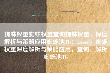 蜘蛛权重蜘蛛权重查询蜘蛛权重，深度解析与策略应用蜘蛛池TG：zzcseo，蜘蛛权重深度解析与策略应用，查询、解析蜘蛛池TG