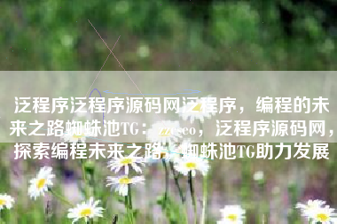 泛程序泛程序源码网泛程序，编程的未来之路蜘蛛池TG：zzcseo，泛程序源码网，探索编程未来之路，蜘蛛池TG助力发展