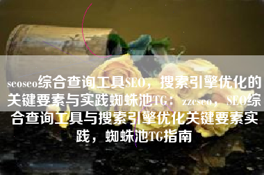 seoseo综合查询工具SEO，搜索引擎优化的关键要素与实践蜘蛛池TG：zzcseo，SEO综合查询工具与搜索引擎优化关键要素实践，蜘蛛池TG指南