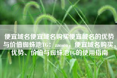 便宜域名便宜域名购买便宜域名的优势与价值蜘蛛池TG：zzcseo，便宜域名购买，优势、价值与蜘蛛池TG的使用指南