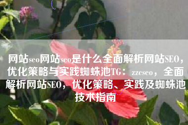 网站seo网站seo是什么全面解析网站SEO，优化策略与实践蜘蛛池TG：zzcseo，全面解析网站SEO，优化策略、实践及蜘蛛池技术指南