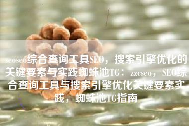 seoseo综合查询工具SEO，搜索引擎优化的关键要素与实践蜘蛛池TG：zzcseo，SEO综合查询工具与搜索引擎优化关键要素实践，蜘蛛池TG指南