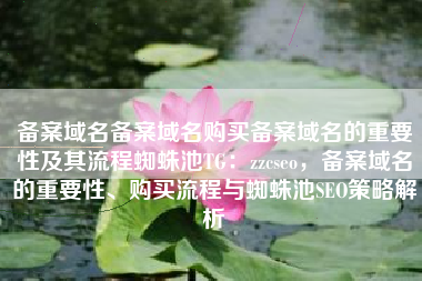 备案域名备案域名购买备案域名的重要性及其流程蜘蛛池TG：zzcseo，备案域名的重要性、购买流程与蜘蛛池SEO策略解析