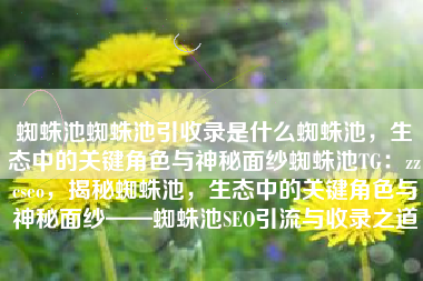 蜘蛛池蜘蛛池引收录是什么蜘蛛池，生态中的关键角色与神秘面纱蜘蛛池TG：zzcseo，揭秘蜘蛛池，生态中的关键角色与神秘面纱——蜘蛛池SEO引流与收录之道