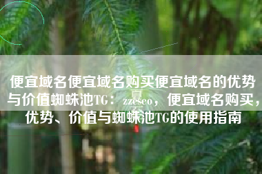 便宜域名便宜域名购买便宜域名的优势与价值蜘蛛池TG：zzcseo，便宜域名购买，优势、价值与蜘蛛池TG的使用指南