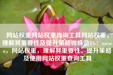 网站权重网站权重查询工具网站权重，理解其重要性及提升策略蜘蛛池TG：zzcseo，网站权重，理解其重要性、提升策略及使用网站权重查询工具