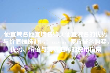 便宜域名便宜域名购买便宜域名的优势与价值蜘蛛池TG：zzcseo，便宜域名购买，优势、价值与蜘蛛池TG的使用指南