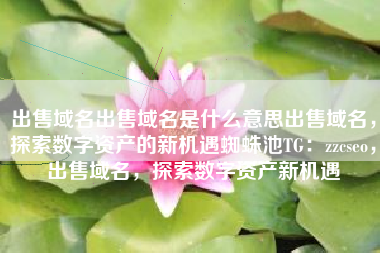 出售域名出售域名是什么意思出售域名，探索数字资产的新机遇蜘蛛池TG：zzcseo，出售域名，探索数字资产新机遇