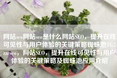 网站seo网站seo是什么网站SEO，提升在线可见性与用户体验的关键策略蜘蛛池TG：zzcseo，网站SEO，提升在线可见性与用户体验的关键策略及蜘蛛池应用介绍