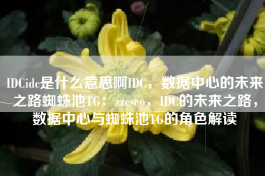 IDCidc是什么意思啊IDC，数据中心的未来之路蜘蛛池TG：zzcseo，IDC的未来之路，数据中心与蜘蛛池TG的角色解读