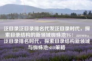 泛目录泛目录排名代发泛目录时代，探索目录结构的新领域蜘蛛池TG：zzcseo，泛目录排名时代，探索目录结构新领域与蜘蛛池SEO策略