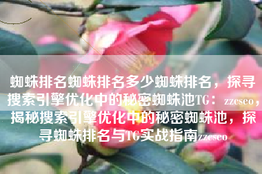 蜘蛛排名蜘蛛排名多少蜘蛛排名，探寻搜索引擎优化中的秘密蜘蛛池TG：zzcseo，揭秘搜索引擎优化中的秘密蜘蛛池，探寻蜘蛛排名与TG实战指南zzcseo