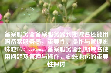 备案服务器备案服务器到期域名还能用吗备案服务器，重要性、操作与管理蜘蛛池TG：zzcseo，备案服务器到期域名使用问题及管理与操作，蜘蛛池TG的重要性探讨
