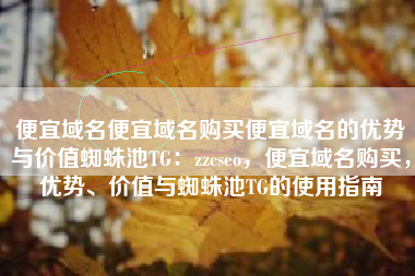 便宜域名便宜域名购买便宜域名的优势与价值蜘蛛池TG：zzcseo，便宜域名购买，优势、价值与蜘蛛池TG的使用指南
