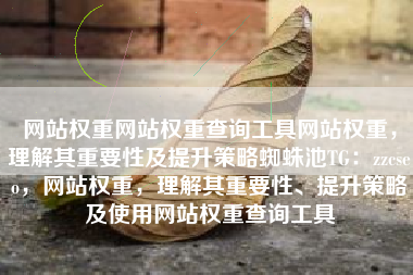 网站权重网站权重查询工具网站权重，理解其重要性及提升策略蜘蛛池TG：zzcseo，网站权重，理解其重要性、提升策略及使用网站权重查询工具