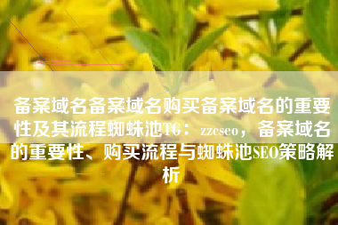 备案域名备案域名购买备案域名的重要性及其流程蜘蛛池TG：zzcseo，备案域名的重要性、购买流程与蜘蛛池SEO策略解析