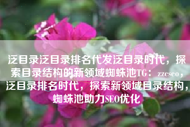 泛目录泛目录排名代发泛目录时代，探索目录结构的新领域蜘蛛池TG：zzcseo，泛目录排名时代，探索新领域目录结构，蜘蛛池助力SEO优化