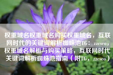 权重域名权重域名购买权重域名，互联网时代的关键词解析蜘蛛池TG：zzcseo，权重域名解析与购买策略，互联网时代关键词解析蜘蛛池指南（附TG，zzcseo）