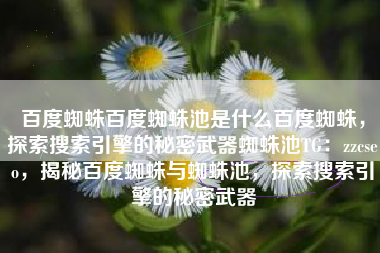 百度蜘蛛百度蜘蛛池是什么百度蜘蛛，探索搜索引擎的秘密武器蜘蛛池TG：zzcseo，揭秘百度蜘蛛与蜘蛛池，探索搜索引擎的秘密武器