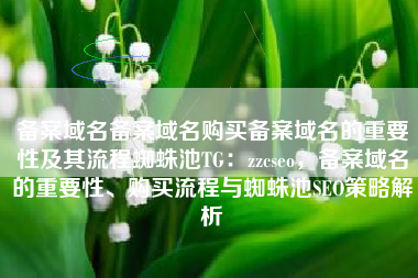备案域名备案域名购买备案域名的重要性及其流程蜘蛛池TG：zzcseo，备案域名的重要性、购买流程与蜘蛛池SEO策略解析