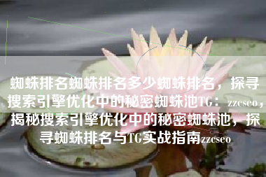蜘蛛排名蜘蛛排名多少蜘蛛排名，探寻搜索引擎优化中的秘密蜘蛛池TG：zzcseo，揭秘搜索引擎优化中的秘密蜘蛛池，探寻蜘蛛排名与TG实战指南zzcseo