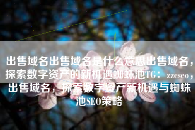 出售域名出售域名是什么意思出售域名，探索数字资产的新机遇蜘蛛池TG：zzcseo，出售域名，探索数字资产新机遇与蜘蛛池SEO策略