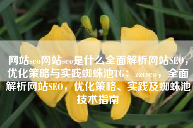 网站seo网站seo是什么全面解析网站SEO，优化策略与实践蜘蛛池TG：zzcseo，全面解析网站SEO，优化策略、实践及蜘蛛池技术指南