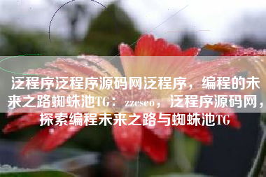 泛程序泛程序源码网泛程序，编程的未来之路蜘蛛池TG：zzcseo，泛程序源码网，探索编程未来之路与蜘蛛池TG