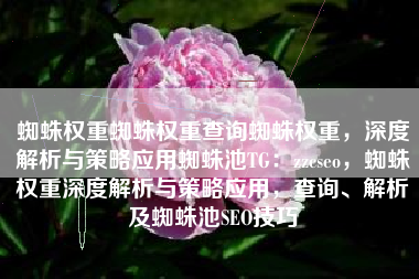 蜘蛛权重蜘蛛权重查询蜘蛛权重，深度解析与策略应用蜘蛛池TG：zzcseo，蜘蛛权重深度解析与策略应用，查询、解析及蜘蛛池SEO技巧
