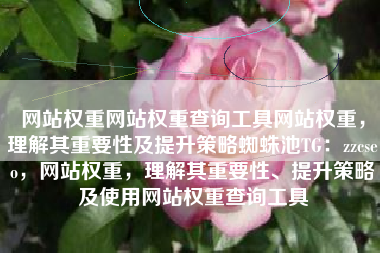 网站权重网站权重查询工具网站权重，理解其重要性及提升策略蜘蛛池TG：zzcseo，网站权重，理解其重要性、提升策略及使用网站权重查询工具