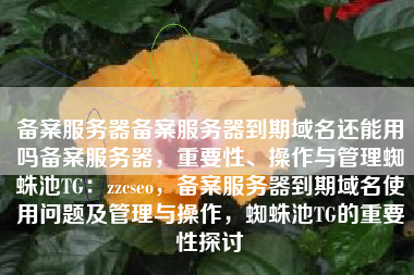备案服务器备案服务器到期域名还能用吗备案服务器，重要性、操作与管理蜘蛛池TG：zzcseo，备案服务器到期域名使用问题及管理与操作，蜘蛛池TG的重要性探讨